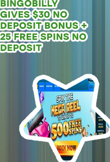 Bingo billy no deposit bonus codes 2023