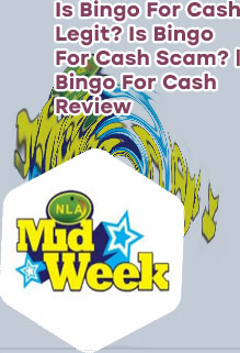 Bingo for cash real money legit