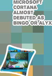 Microsoft bingo
